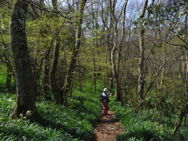 f0187402_2355291.jpg