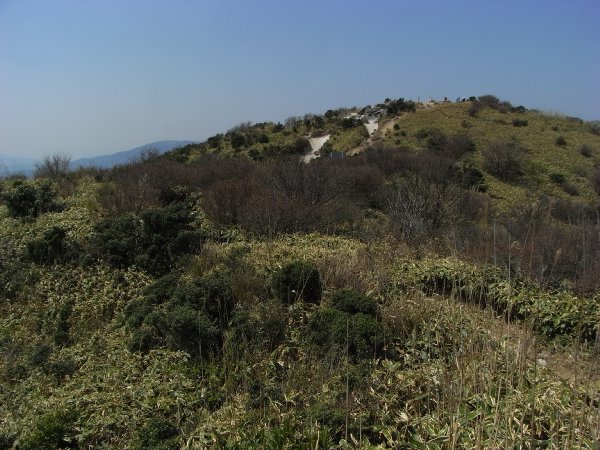 f0187402_23555588.jpg
