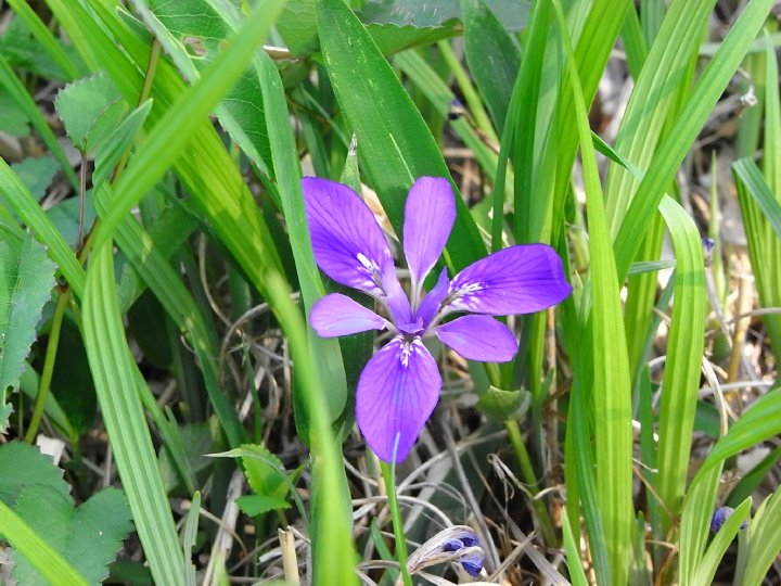 f0187402_23564285.jpg
