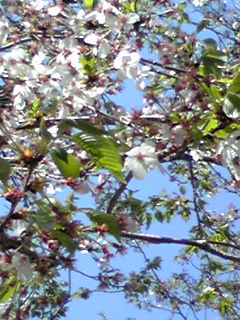 f0151905_12325283.jpg