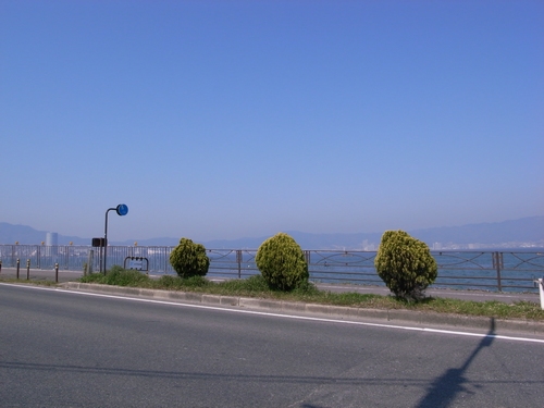 d0131006_23303354.jpg
