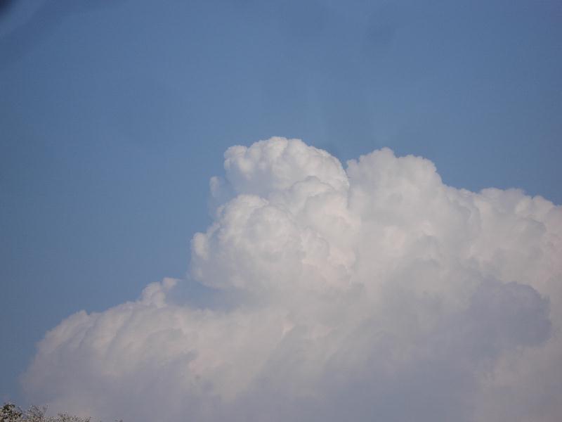 f0084806_22181644.jpg