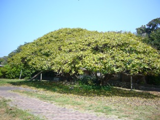 c0092408_18442287.jpg
