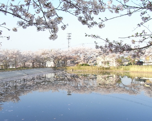 f0006510_20291644.jpg