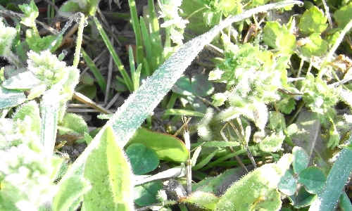 f0006510_20472891.jpg