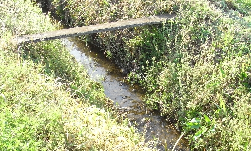 f0006510_20541047.jpg