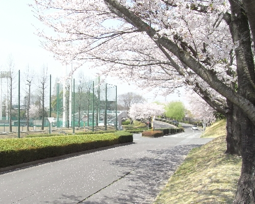 f0006510_21254517.jpg