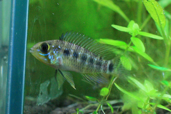 f0132112_201057.jpg