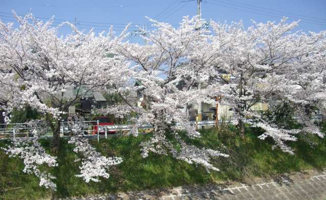 d0007913_01421.jpg