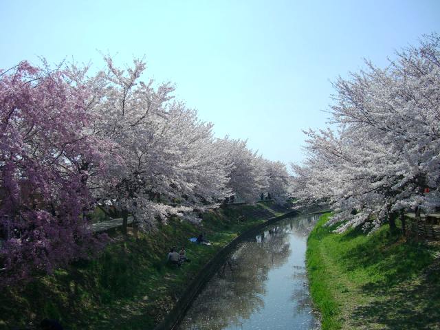 d0007913_0161040.jpg