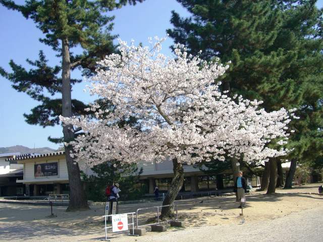 d0007913_034060.jpg