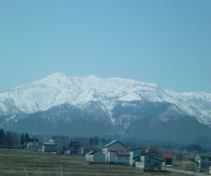 b0085815_112233.jpg