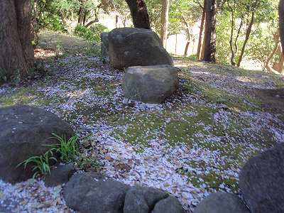 c0145016_8572846.jpg