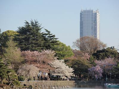 c0145016_8574553.jpg