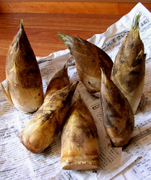 f0036716_23201047.jpg
