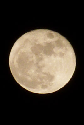 f0056516_1415094.jpg