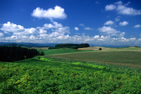 b0080718_15525425.jpg