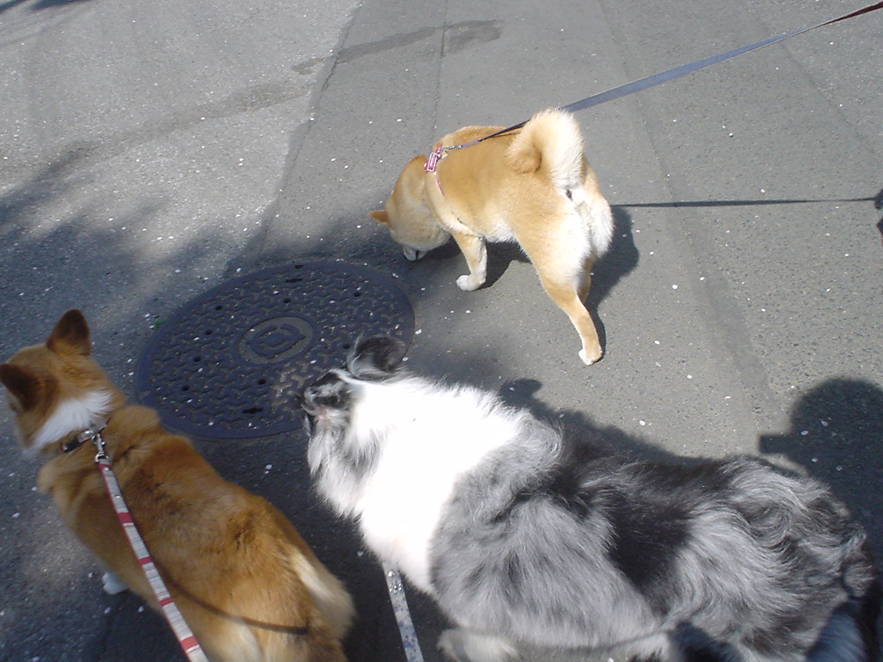 c0150520_025571.jpg