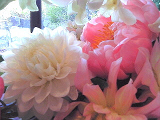 a0052621_165056100.jpg