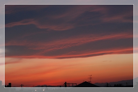 c0116921_1552556.jpg