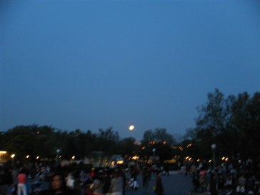 e0047322_2314121.jpg