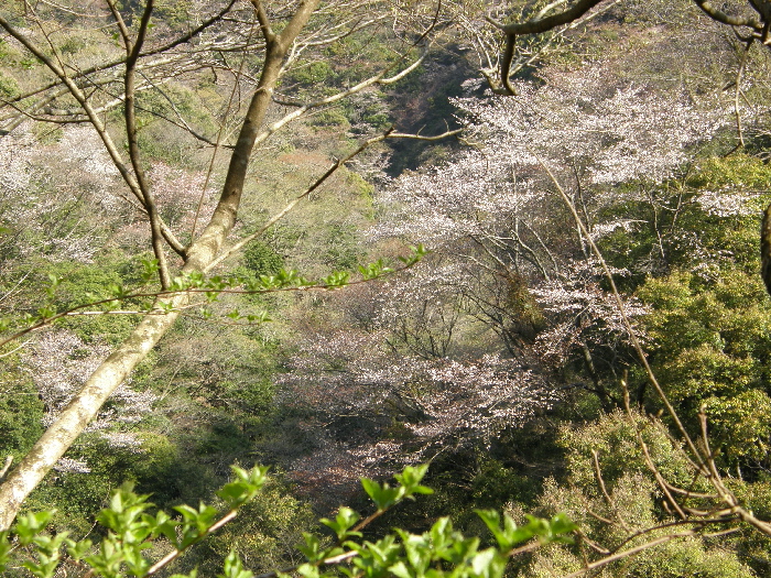 f0103126_21434070.jpg