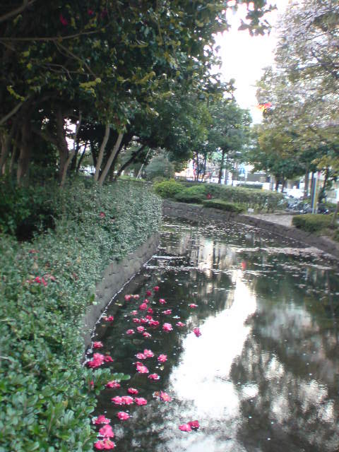 e0016828_21264879.jpg