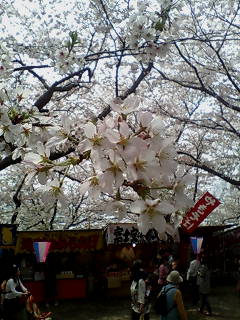a0090729_1833736.jpg