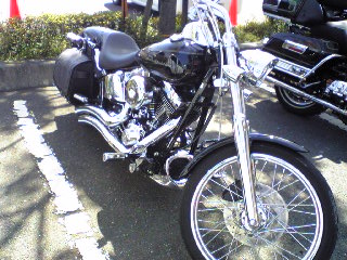 a0099129_211381.jpg