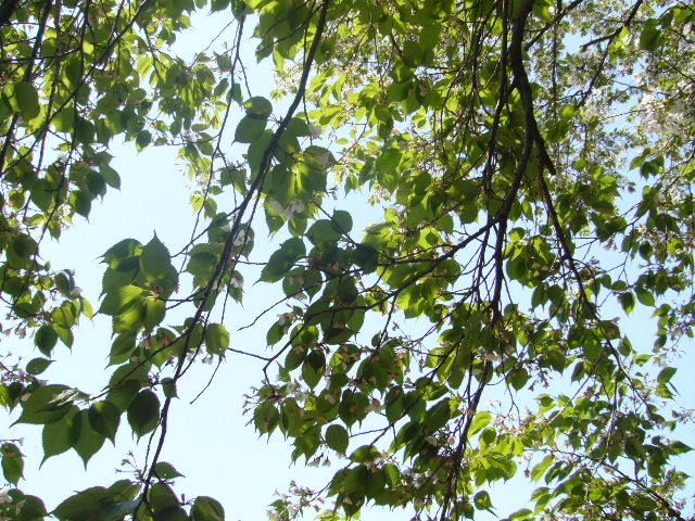 f0023329_171021100.jpg