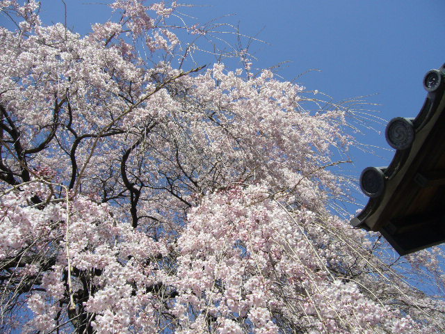 f0023329_1745999.jpg