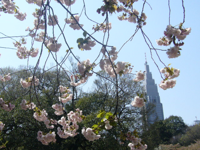 f0023329_17785.jpg