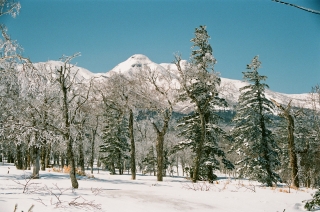 f0053130_23462820.jpg