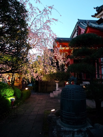 f0165831_13111756.jpg