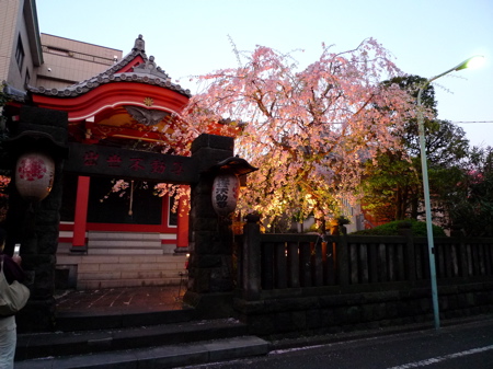 f0165831_1311321.jpg