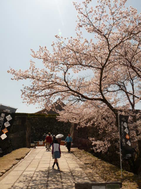 c0100534_1617575.jpg