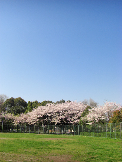 e0044635_211870.jpg