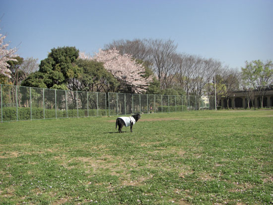 e0044635_214278.jpg