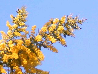 e0155536_23543192.jpg