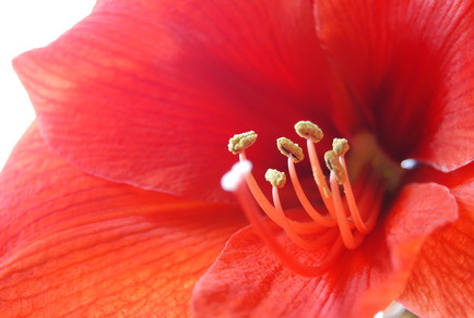 a0032537_22261415.jpg