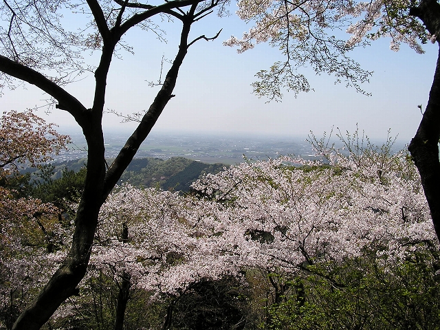 b0099538_1637381.jpg