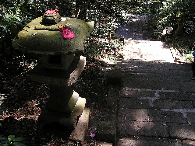b0099538_16375777.jpg