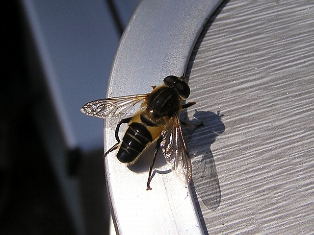 b0099538_16445047.jpg