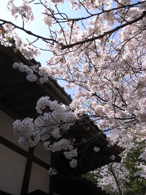 a0087341_21144125.jpg