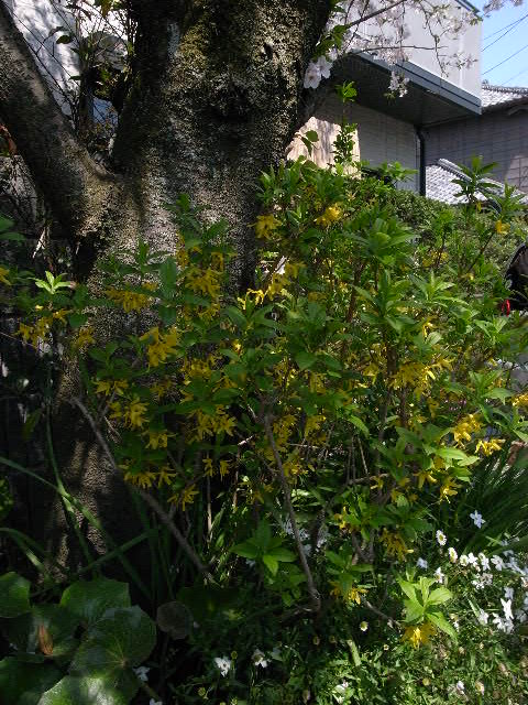 a0087341_21204885.jpg