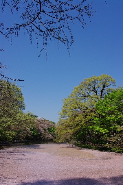 a0009142_20525596.jpg