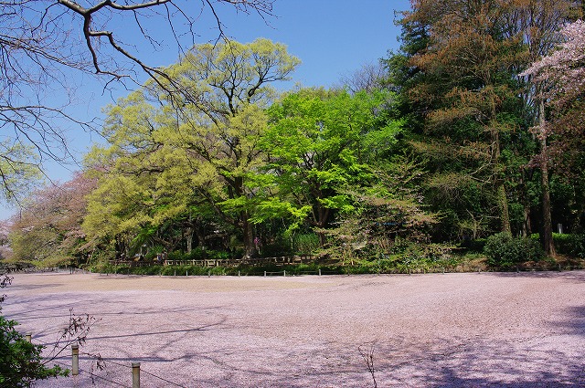 a0009142_20531261.jpg