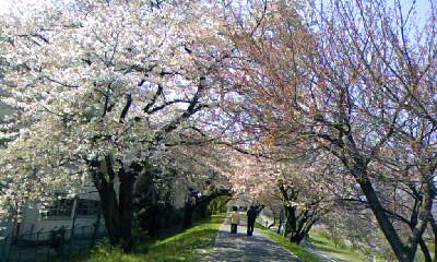 f0124642_1753517.jpg