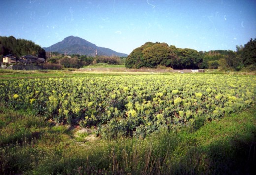 b0016043_16424835.jpg