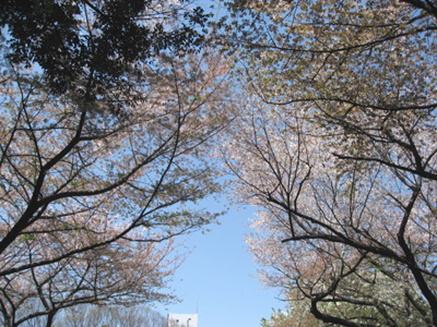 f0143445_1571682.jpg